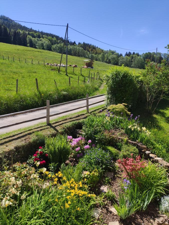 Maison Le Rozet Les Gras ภายนอก รูปภาพ