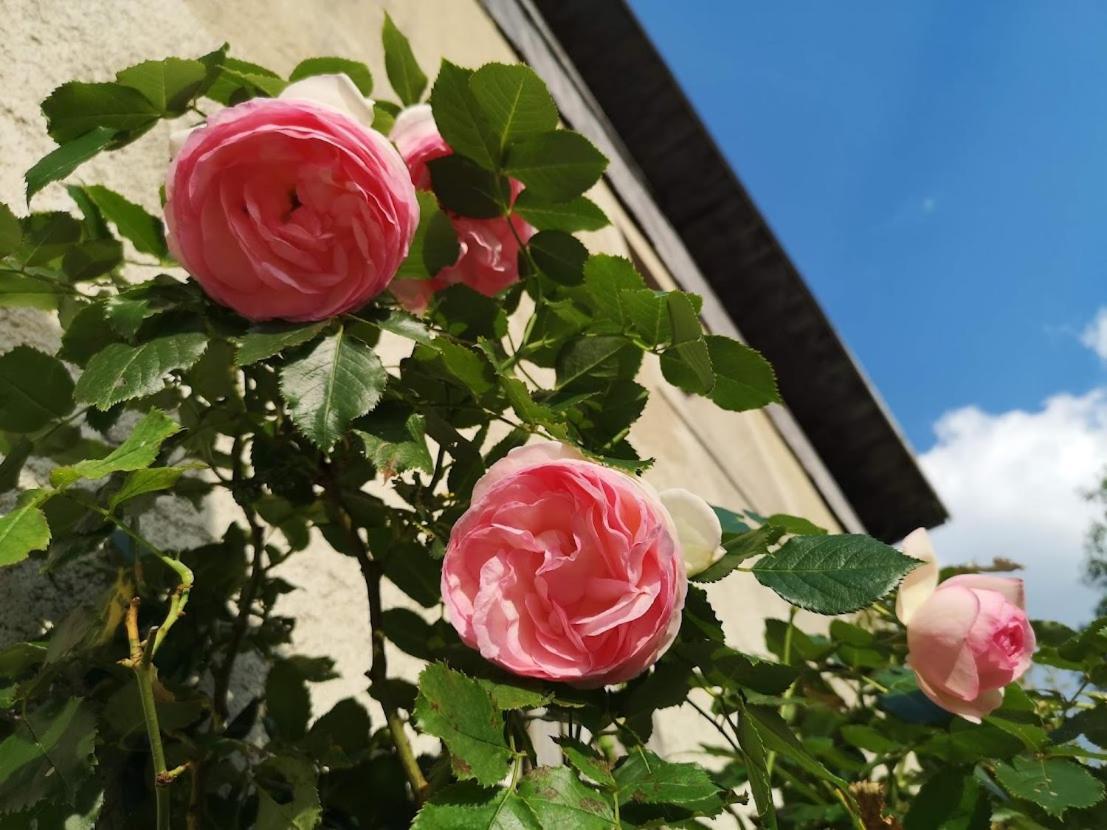 Maison Le Rozet Les Gras ภายนอก รูปภาพ
